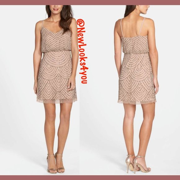 NEW Adrianna‎ Papell Beaded Mesh Blouson Dress in Taupe Pink [ 0 4 6 10 12 14 ] - Picture 10 of 16